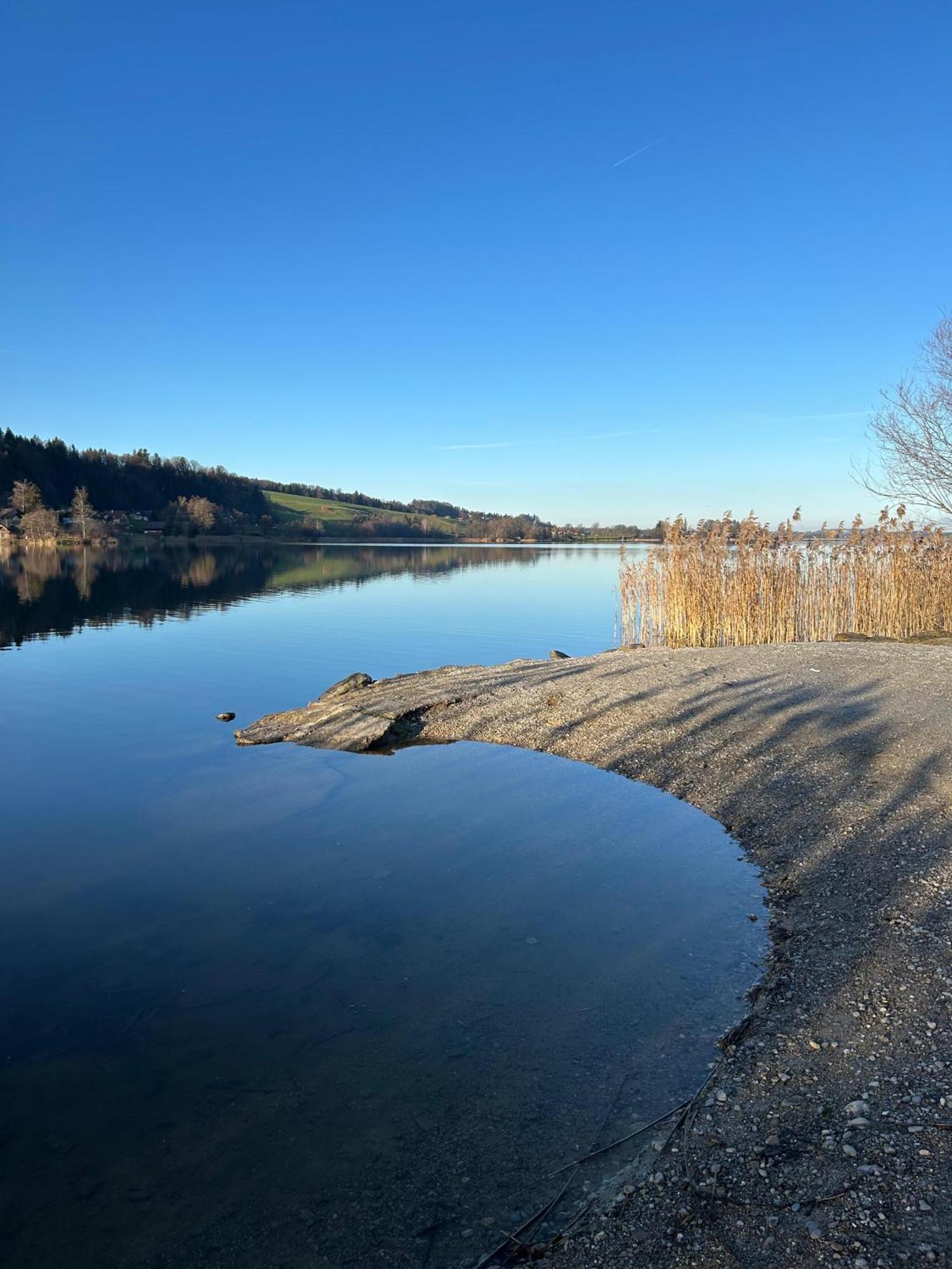 Ferienwohnungen Am See Obertrum am See Dış mekan fotoğraf